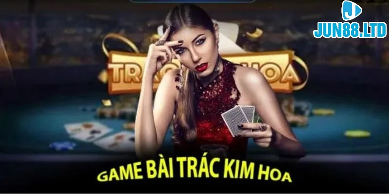 trac-kim-hoa-anh-dai-dien